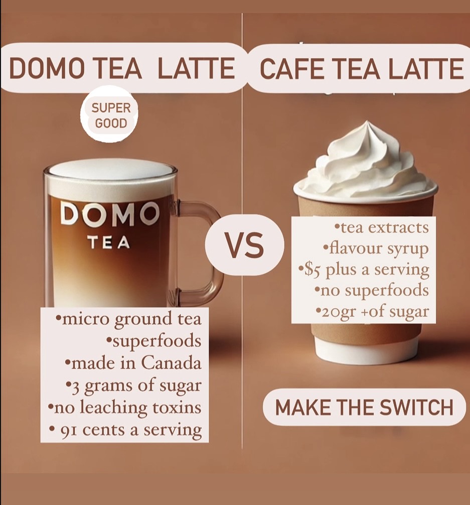 DOMO Authentic Chai